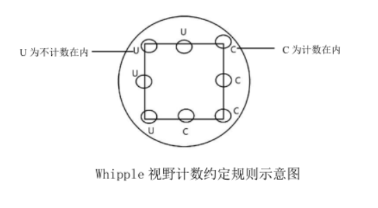 視野計數(shù)約定規(guī)則示意圖